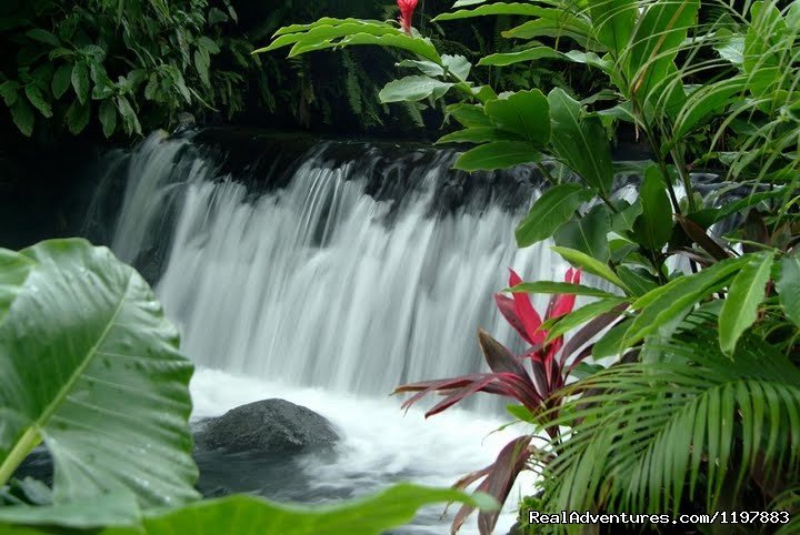 Hote Springs Costa Rica | Scuba Diving In Costa Rica With Bill Beard | Image #15/23 | 