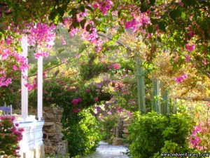 Angelika Leros Hotel