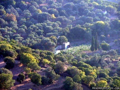 Same shot but ZOOM | Vineyard Cottage in Bodrum, Private pool | Image #9/12 | 