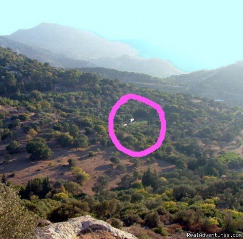 The house and vineyard as seen from the castle | Vineyard Cottage in Bodrum, Private pool | Image #8/12 | 