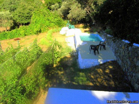 View from the patio to the pool | Vineyard Cottage in Bodrum, Private pool | Image #4/12 | 