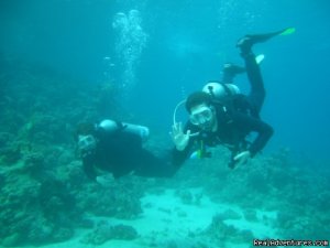 Divers Down Under