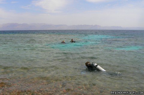 Divers Down Under | Image #7/8 | 