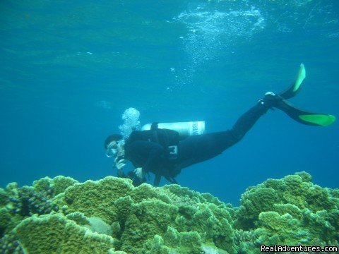 Divers Down Under | Image #8/8 | 