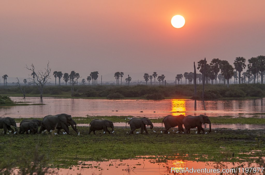 Sunset In Selous Gr | Uhuru Travel & Tours Ltd | Image #4/20 | 