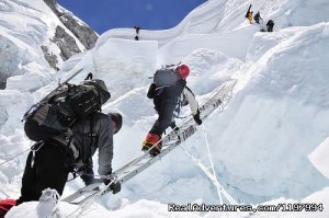 Nepal Tours and Trekking (P) Ltd.