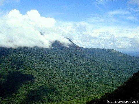 Misty Hills Homestay | Image #11/12 | 