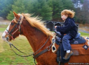 Come Horse around  at Foxwoode Farms! 