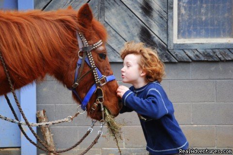 Come Horse around  at Foxwoode Farms!  | Image #4/13 | 