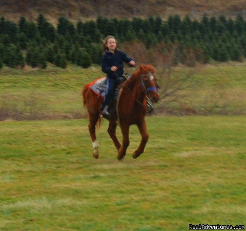 Come Horse around  at Foxwoode Farms!  | Image #5/13 | 