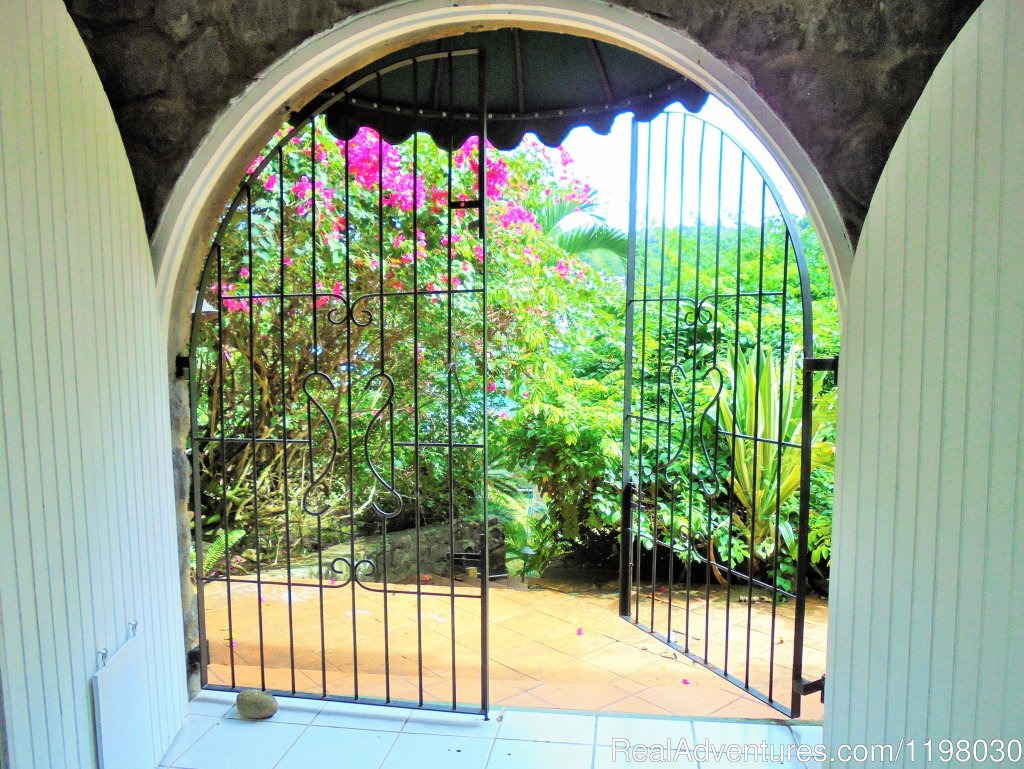 Mango Beach Inn Door from Reception | Mango Beach Inn, Adventure Lodge | Image #8/26 | 