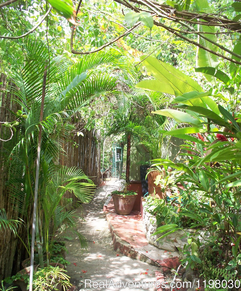 The Boardwalk to the beach | Mango Beach Inn, Adventure Lodge | Image #11/26 | 