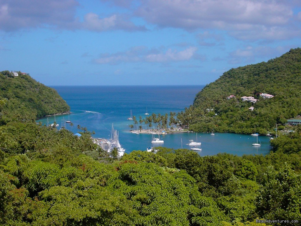 Marigot Bay. a naturally deep harbour | Mango Beach Inn, Adventure Lodge | Image #16/26 | 