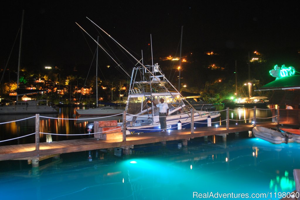 The Rainforest Hideaway Restaurant on the Mango Beach Dock | Mango Beach Inn, Adventure Lodge | Image #17/26 | 