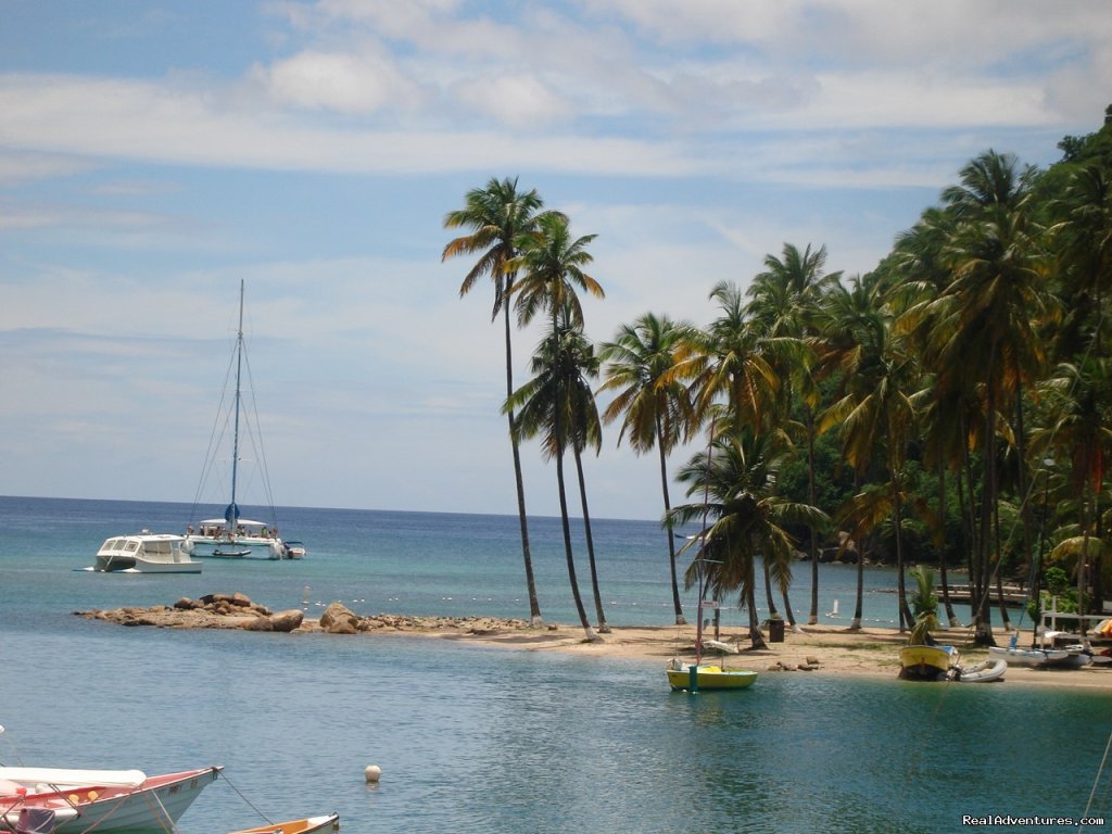 Labas Beach from the east | Mango Beach Inn, Adventure Lodge | Image #19/26 | 