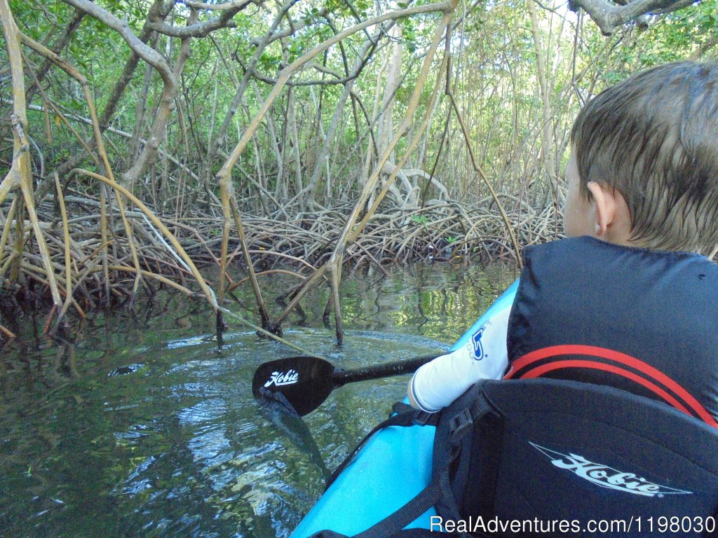 Looking for Bad Bob the Baraccuda | Mango Beach Inn, Adventure Lodge | Image #24/26 | 