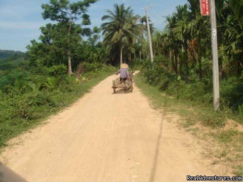 Cycle South China & Ethnic Culture Experience | Sanya, China | Bike Tours | Image #1/4 | 