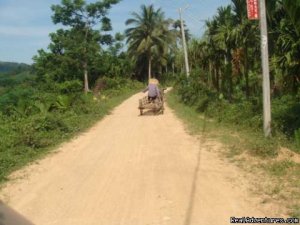 Cycle South China & Ethnic Culture Experience