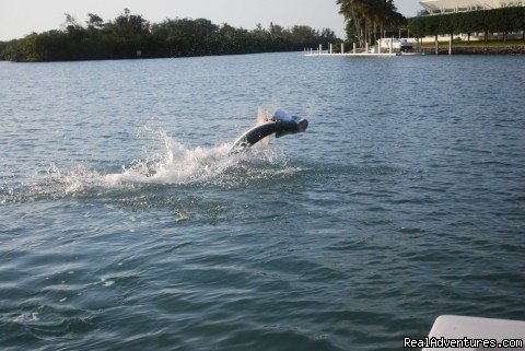 Naples Fishing | Image #4/19 | 