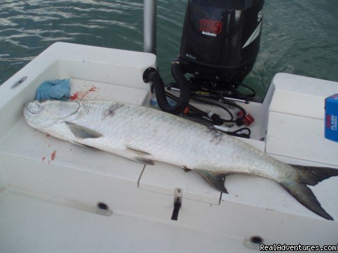 Naples Fishing | Image #8/19 | 