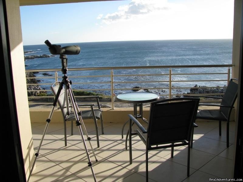 Whale Cove A104 | Whale watching at  Whale Cove A104 | Gansbaai, South Africa | Whale Watching | Image #1/10 | 