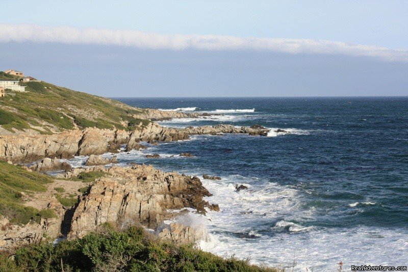 Whale watching at  Whale Cove A104 | Image #9/10 | 