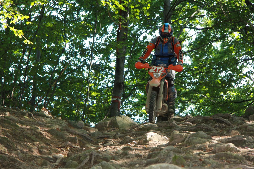 Enduro in Romania, Tarcu Mountains Tours | Image #7/14 | 