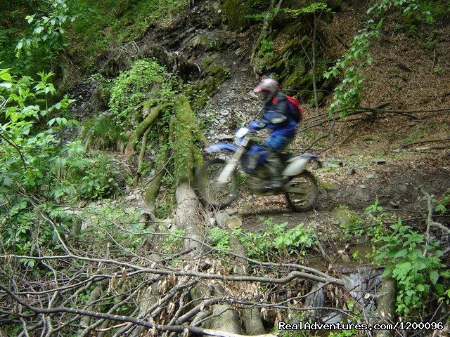 Enduro in Romania, Tarcu Mountains Tours | Image #13/14 | 