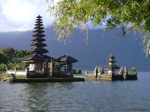 Bali private driver customized tour