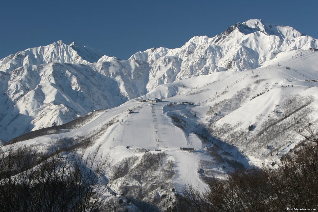 View of Happo One from Iwatake | Hakuba Powder Tours - Japanese Skiing at its Best | Nagano, Japan | Skiing & Snowboarding | Image #1/23 | 