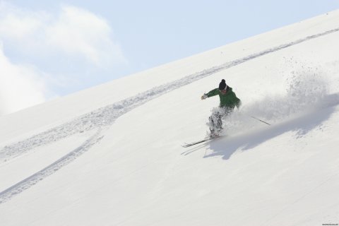 Amazing off piste powder