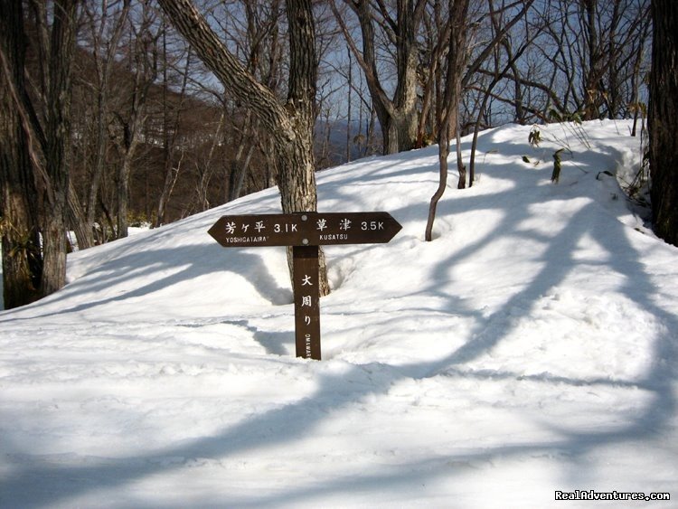 Shiga Kogen signage | Hakuba Powder Tours - Japanese Skiing at its Best | Image #16/23 | 