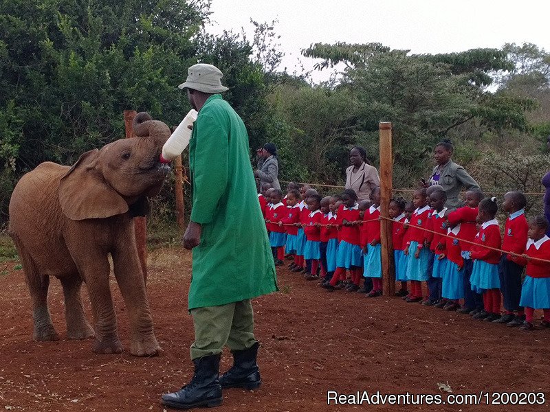 Sheldricks in Karen/Nairobi | Welcome to East Africa - Land of  Beauty: | Image #3/26 | 