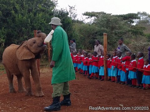 Sheldricks in Karen/Nairobi