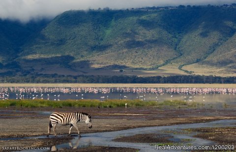 Ngorongoro crater in Tanzania