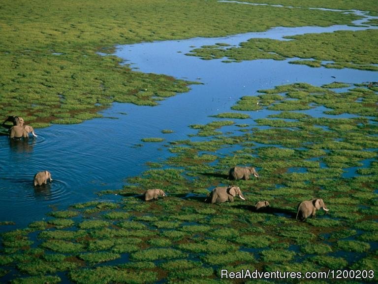 Amboseli National Park | Welcome to East Africa - Land of  Beauty: | Image #15/26 | 