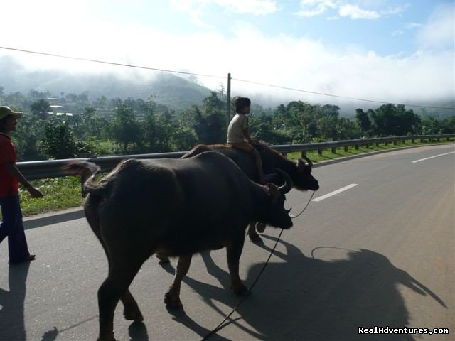 Motorbike Tour Of The Real Vietnam | Central, Viet Nam | Motorcycle Tours | Image #1/5 | 