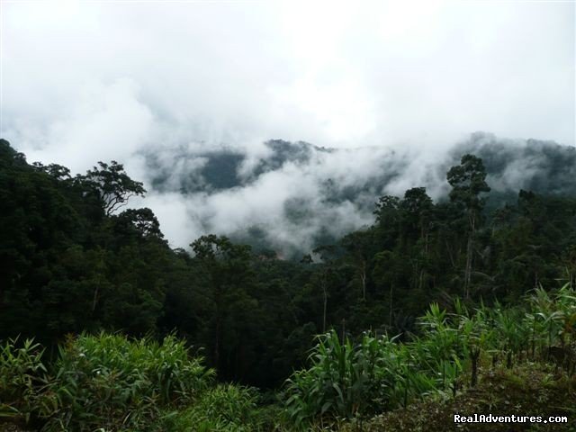 Motorbike Tour Of The Real Vietnam | Image #3/5 | 