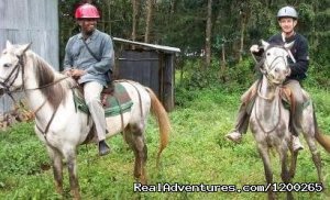 Bird Watching and Trekking Tours in Ethiopia