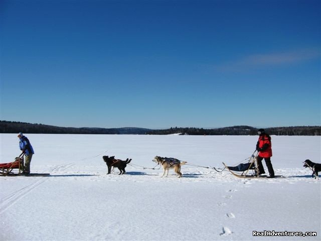 Mushing 2010 | Couples Resort | Image #4/8 | 