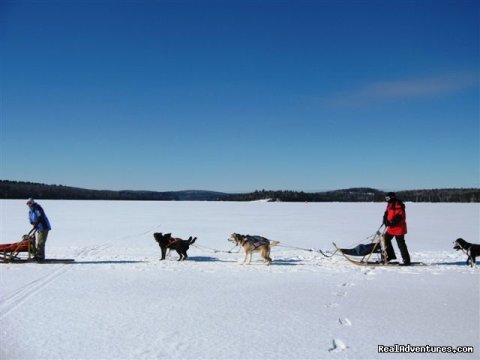 Mushing 2010