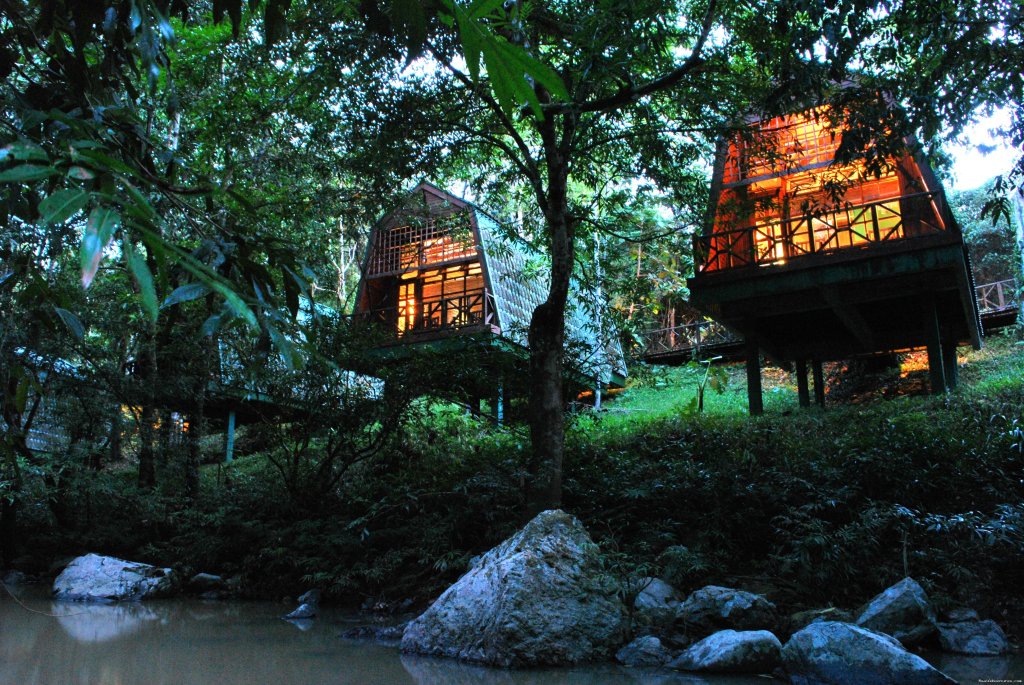 Tabin Wildlife Resort | Tabin Wildlife Reserve Safari | Image #6/9 | 