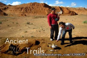 Travel Buddies Tour Operator | Ulaanbaatar, Mongolia | Sight-Seeing Tours