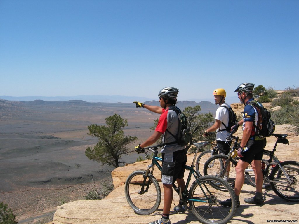 Spectacular Views of Zion National Park Region | Mountain Biking Zion National Park | Zion National Park, Utah  | Bike Tours | Image #1/1 | 