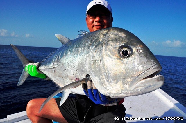 Nakamura san trip with Dolphin  May 2012 | Maldives Trips - Fishing, Surfing, & Scuba Diving | Image #6/19 | 