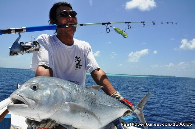 Poping trip | Maldives Trips - Fishing, Surfing, & Scuba Diving | Image #3/19 | 