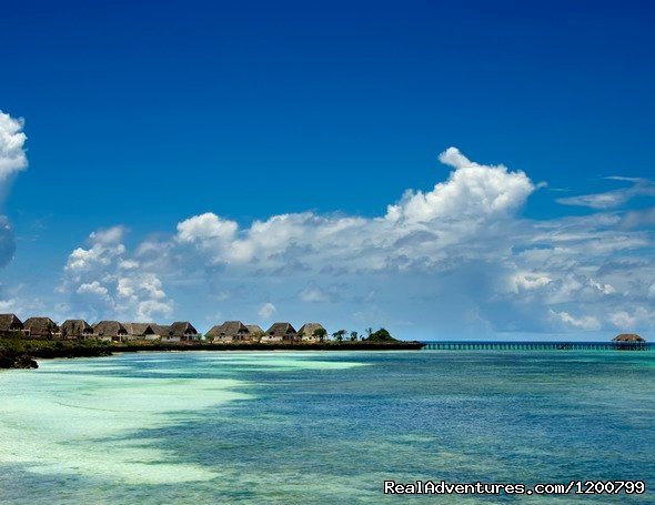 Tour Operator  in Zanzibar | Image #3/6 | 