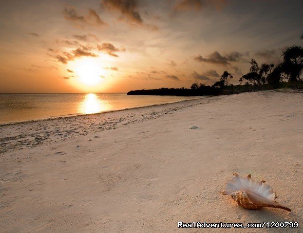 Tour Operator  in Zanzibar | Image #6/6 | 