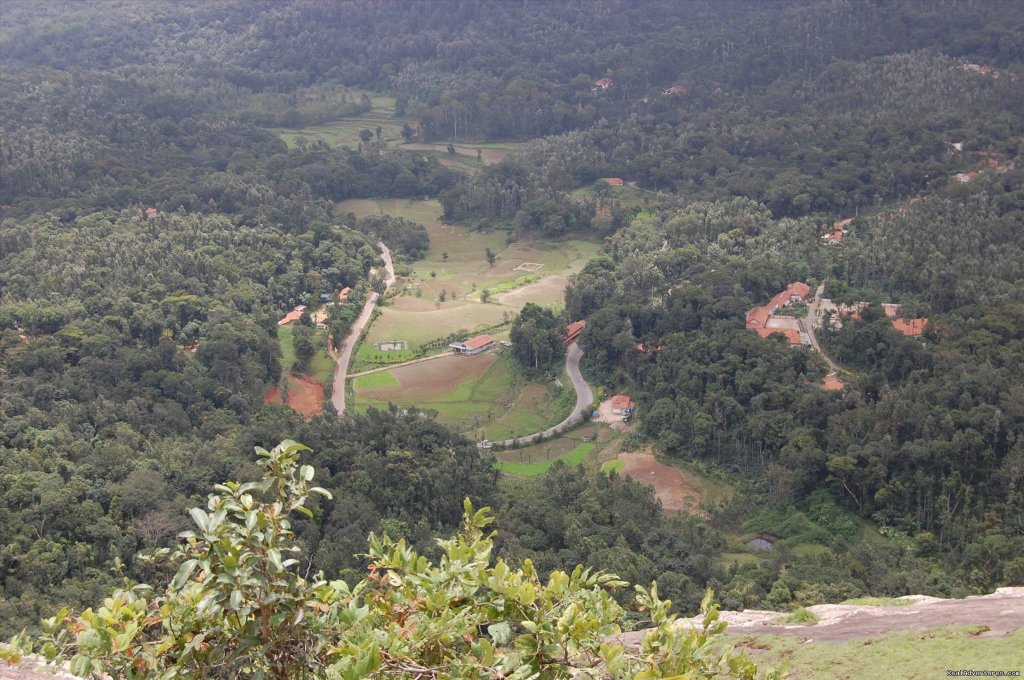 Road View | Jungle Greens Home Stay, junglegreen homestay | Chickmagalur, India | Hotels & Resorts | Image #1/5 | 