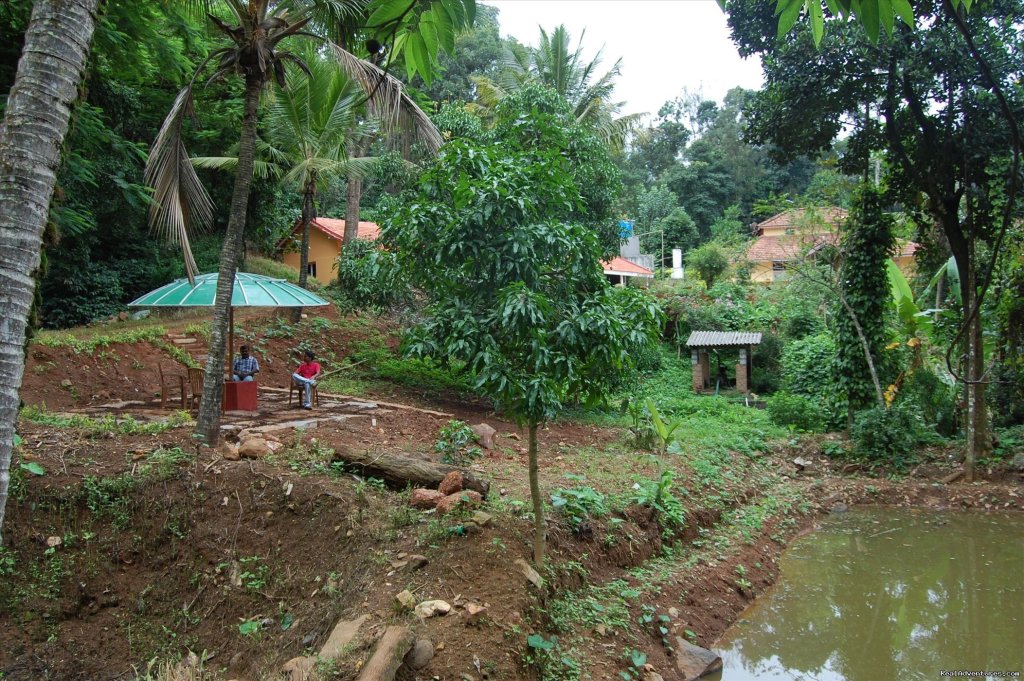 Fishing Spot | Jungle Greens Home Stay, junglegreen homestay | Image #4/5 | 